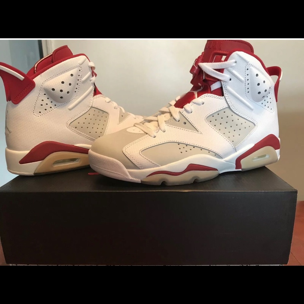 Air Jordan 6 Alternate size 9.5